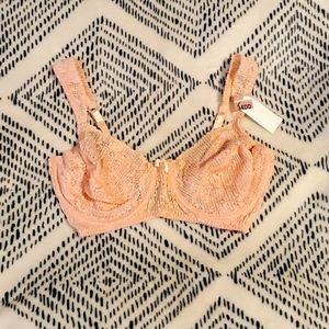 Cabernet Pink Bra Woman's Size 34E (DD)